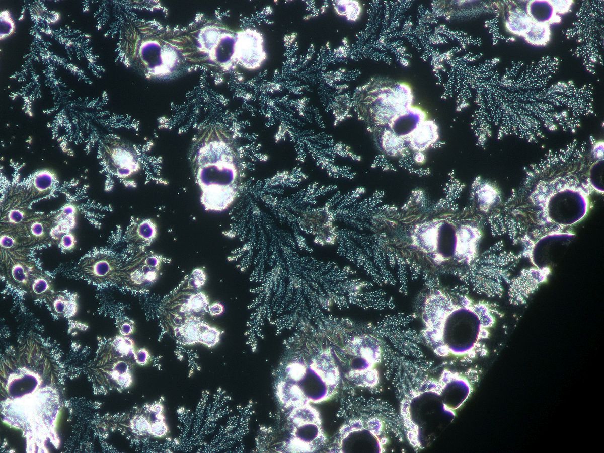 Bormia-Wasser wurde vielfach wissenschaftlich untersucht 