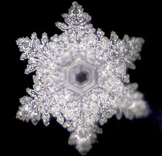 kristalluntersuchung mit bormia